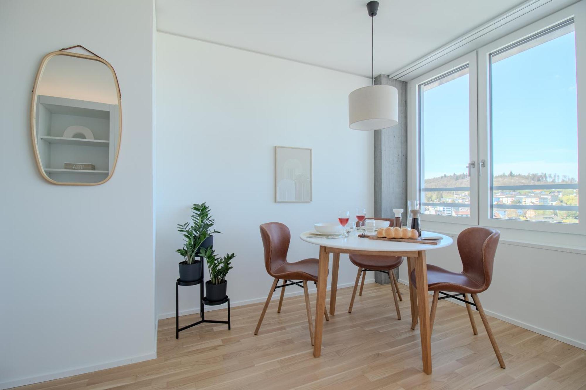 Loewe Apartments Am Rheinfall Neuhausen Am Rheinfall Esterno foto